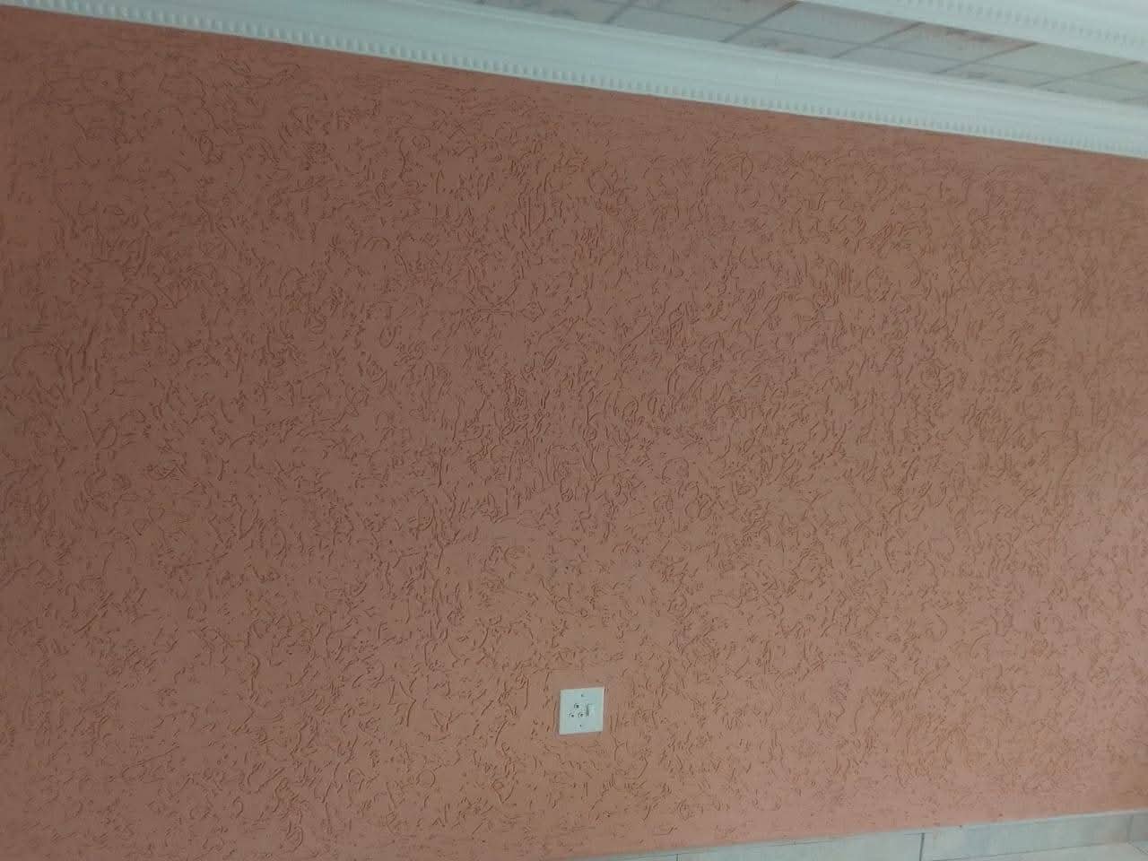 WhatsApp Image 2025-09-19 at 06.35.36